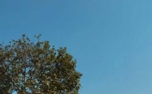 �������������(�R��11ƪ)