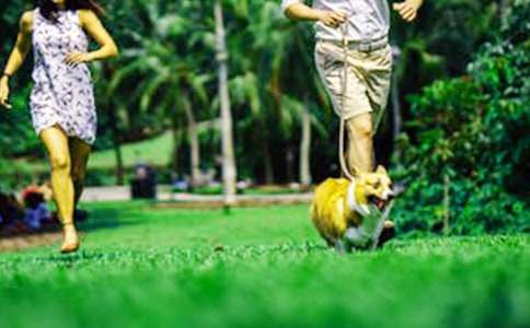 �P(gu��n)����ĩ���ľ�ƪ