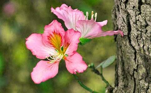 ���G������2018