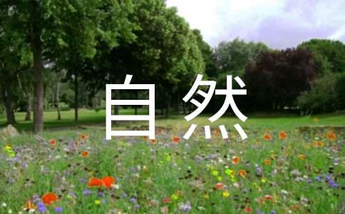 ����Ȼ���ļ����ģ����x30ƪ��