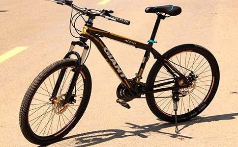 風(fēng)景和自行車作文