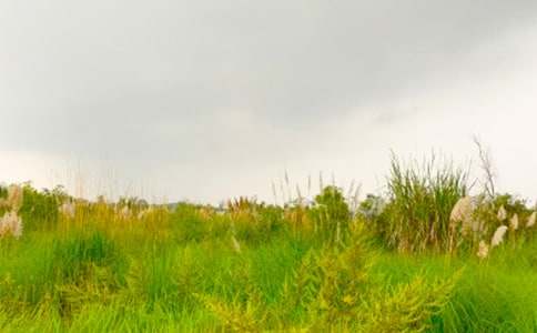 ���M(j��n)���C�Ĵ��씢������