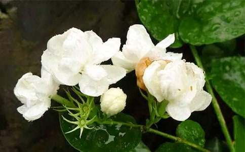 ����_600��