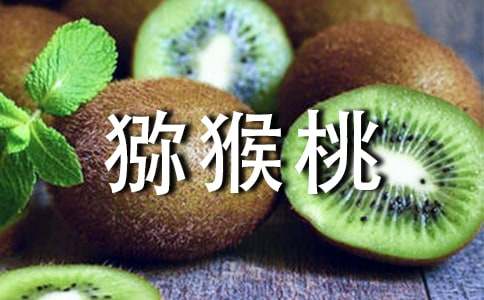 五年級寫秋天的快樂事作文摘獼猴桃(精選20篇)