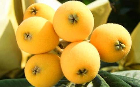 �ҵ����˘����ģ�ͨ��50ƪ��