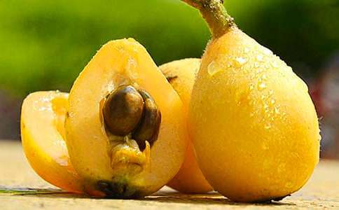 【推薦】枇杷樹作文六篇