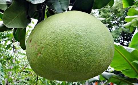 ���x���������\��7ƪ