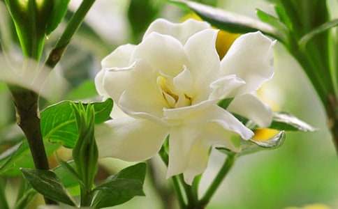 �d�ӻ��_�ļ���(ji��)����600��