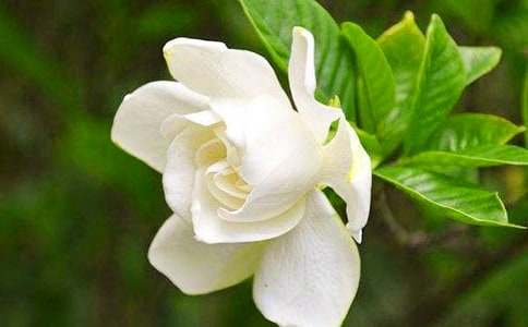 ����һ��d�ӻ��_�r_900��