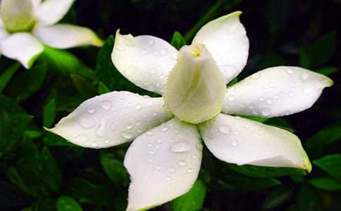 �d�ӻ��_�r����3ƪ