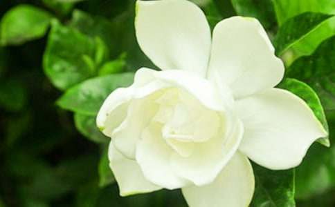 �d�ӻ��_�ļ���(ji��)800������