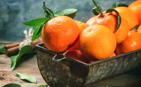 家鄉(xiāng)的橘子