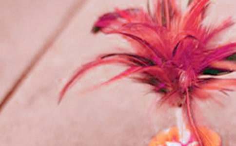 �����(d��ng)��(sh��)ʩ������ͨ��6ƪ��