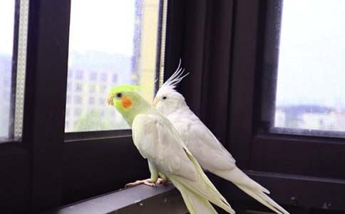 �W�^������300��4ƪ