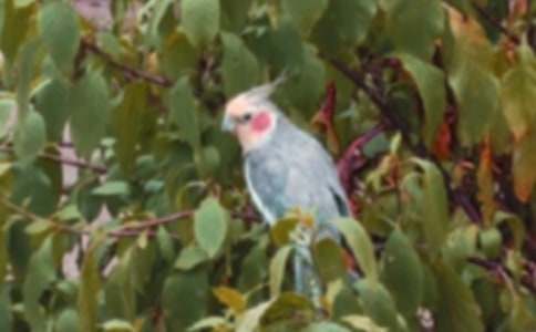 �����W�^����500��