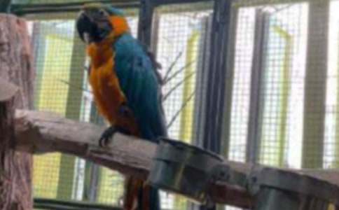 ��Ƥ�W�^�^����ӛ�����x62ƪ��