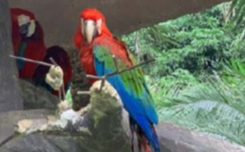 С�W�^����600�֣�ͨ��18ƪ��