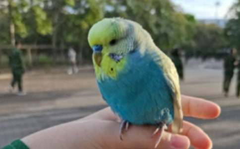 �������W�^����12ƪ