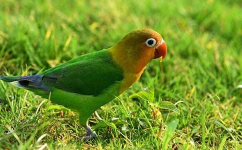 �^���W�^�����ģ����x19ƪ��