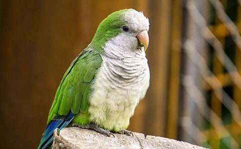 ��Ƥ�W�^����600�֣����x26ƪ��