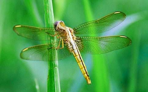 ����������500�֣����x40ƪ��