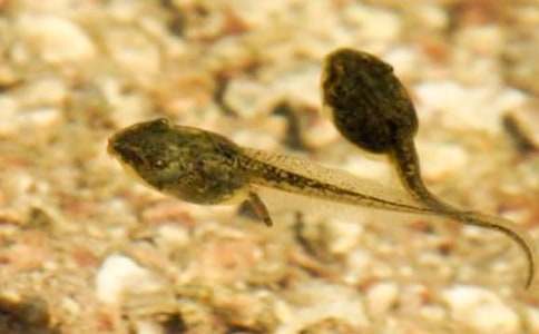 ׽���С�W�����D���ģ����x54ƪ��