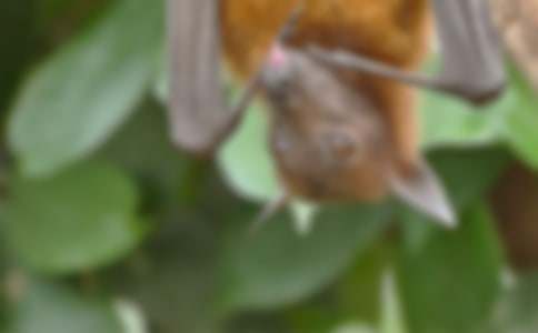 ��������400��7ƪ