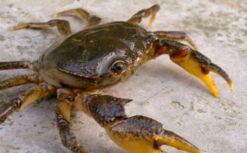 �茑�з������300��_���꼉(j��)����