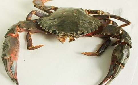 �茑�з400������_С�W(xu��)������