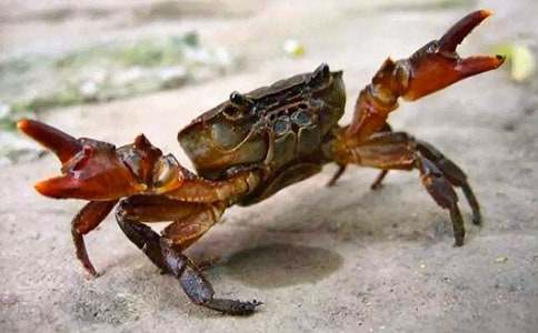 �^���з����(�ϼ�15ƪ)