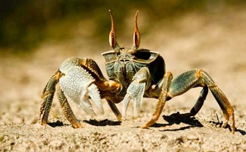 �з�茑�з������500��_С�W(xu��)����