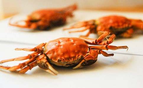 �茑�з����