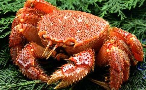 �P(gu��n)��ץ�з��Ȥ������