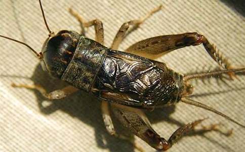 ����Ʒ��������300����ƪ