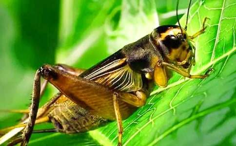 ���؂䡿������300����ƪ