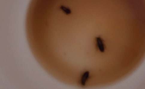 ����һ����x������