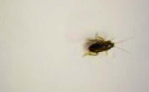 �c���ěQ��(zh��n)��������