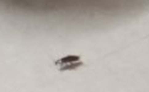 ������ͳ�һ���ģ�ͨ��10ƪ��