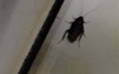 ������һ����