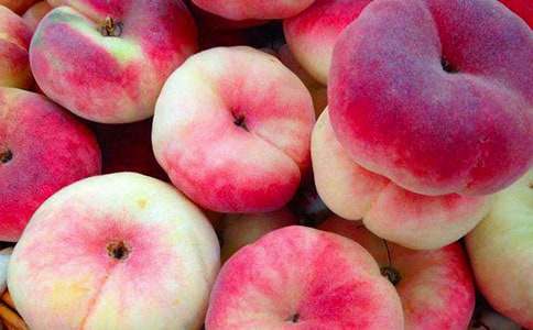 蟠桃盛會(huì)作文