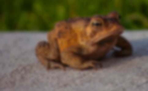 �ȵ���������l(f��)��˼������