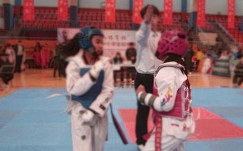 第一次學跆拳道作文4篇