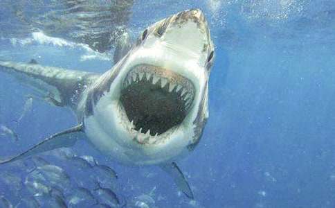 �茑���~����6ƪ