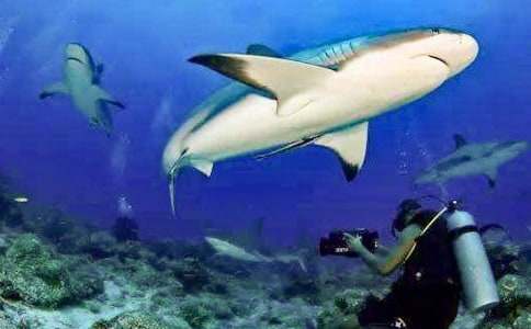 ���~�����\��9ƪ