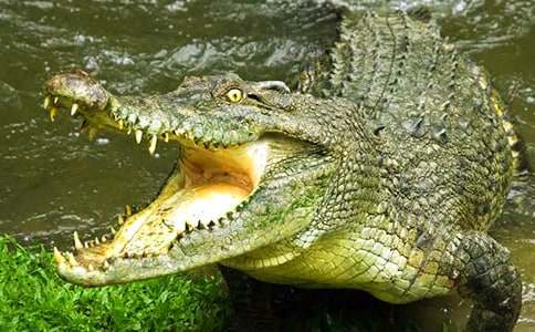 �{�~(y��)���@֮������