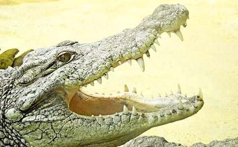 �{�~�ͺ���Ԣ�Թ���