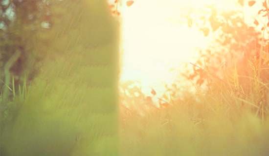 ��Ϧ����Ψ�����~