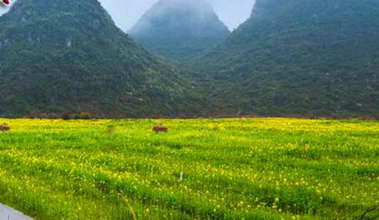 С�W(xu��)�����ε����ģ����x28ƪ��